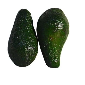 avocat