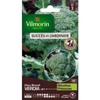 graines chou brocoli vilmorin