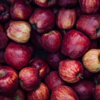 pomme golden - france