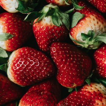 Fraises d'Alsace 500g