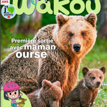 Premi?re sortie avec Maman Ourses - Wakou