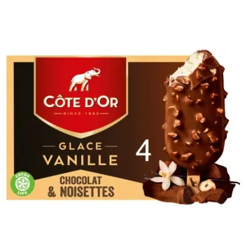 Glace vanille chocolat & noisettes x 4