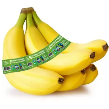 5 bananes d'Afrique commerce ?quitable