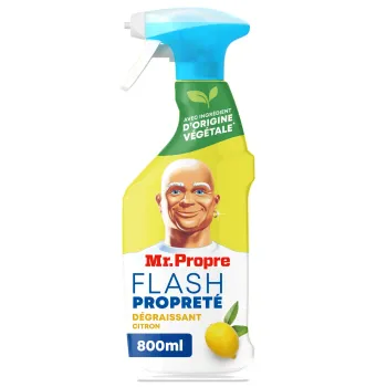 spray Mr propre