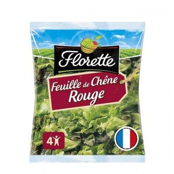 Feuilles de ch?ne rouges