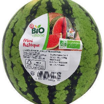 mini Past?que Bio village 