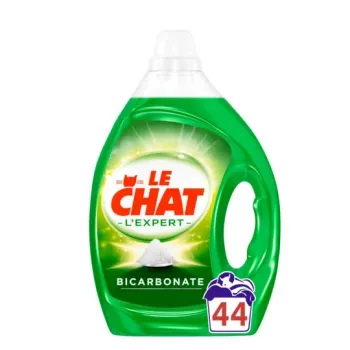 Le chat l'expert