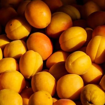 Abricots