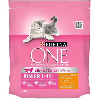 CROQUETTE JUNIOR PURINA ONE