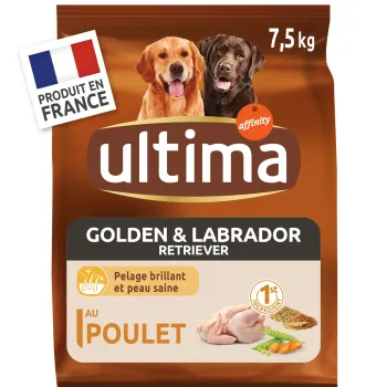ultima golden & labrador