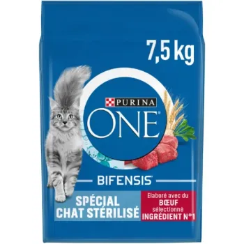 croquette purina One chat