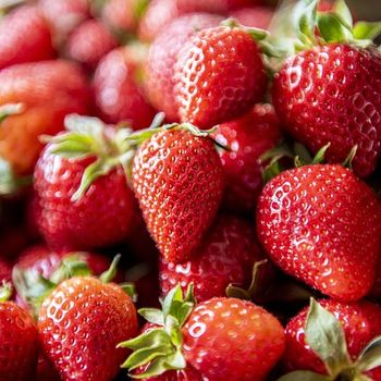 Fraises Gariguette