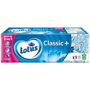 lotus classi+ 24 etuis